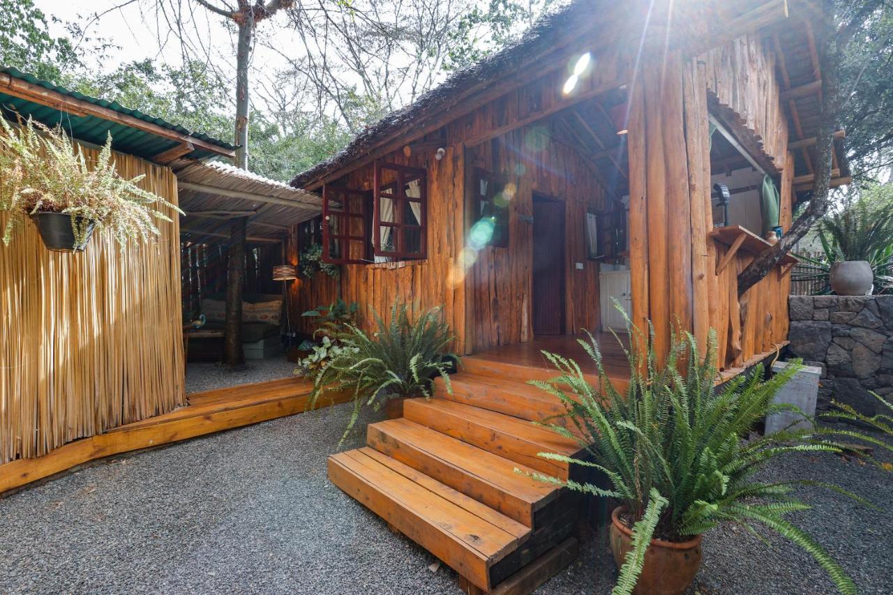 Ol Losowan House And Cottages, Karen Nairobi Exteriör bild